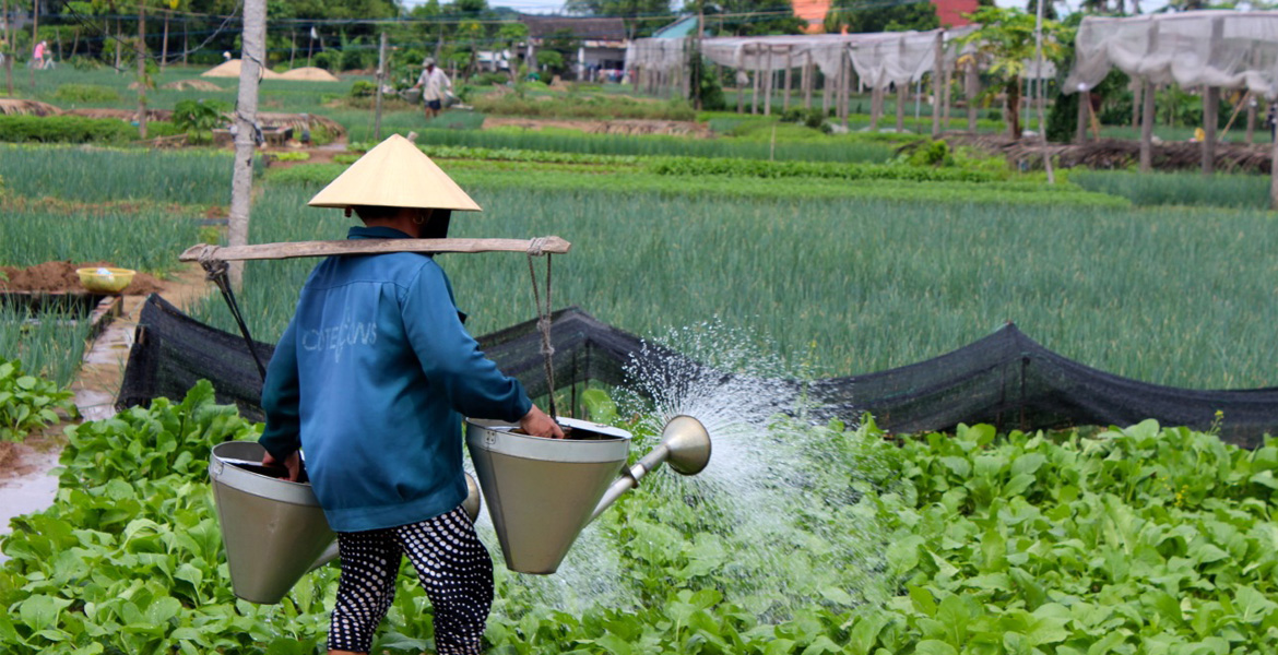 Hoi An Eco Tour